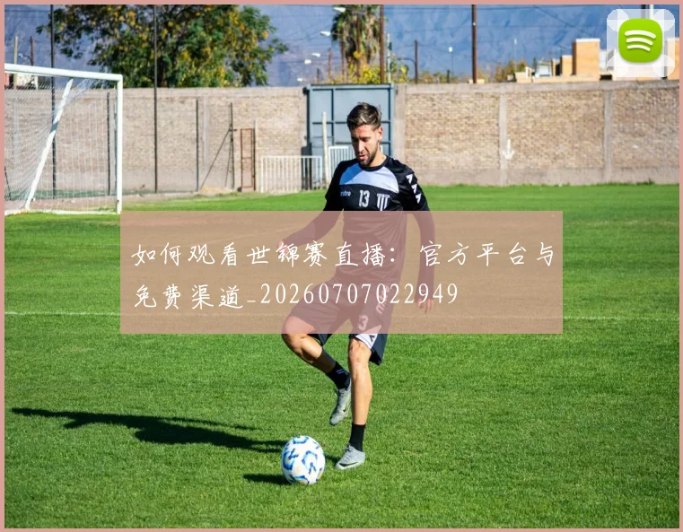 如何观看世锦赛直播：官方平台与免费渠道_20260707022949