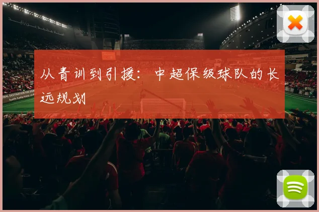 从青训到引援:中超保级球队的长远规划