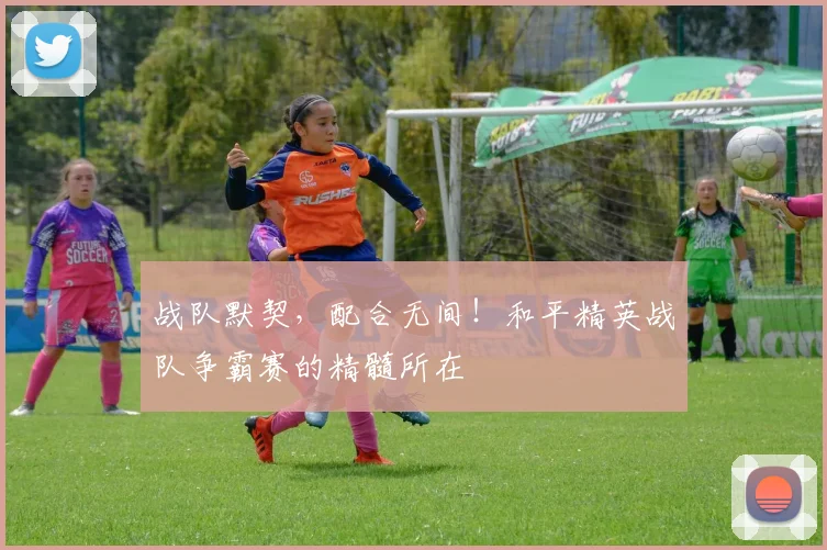 战队默契，配合无间！和平精英战队争霸赛的精髓所在