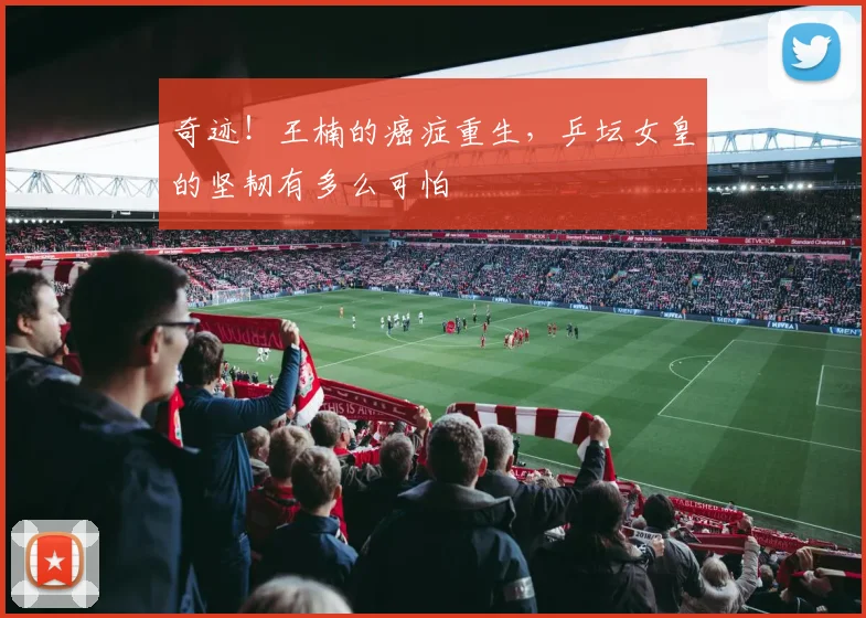 奇迹！王楠的癌症重生，乒坛女皇的坚韧有多么可怕