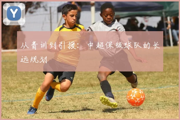 从青训到引援:中超保级球队的长远规划